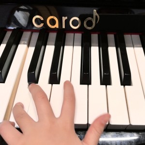 花之歌的演奏视频