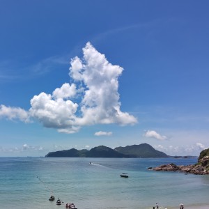 谢子“ψ(｀∇´)ψ的钢琴谱