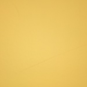 遇到神奇生物了的钢琴谱