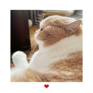 158****2261的钢琴谱