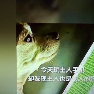 我喜欢阿婉(第五同名)的钢琴谱