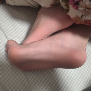 圆圆猪的钢琴谱