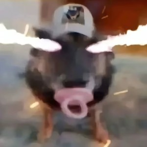 湖南彭于晏的钢琴谱