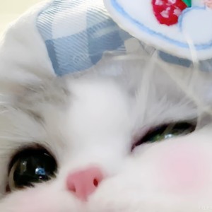 @小猫在下雨天依旧想你./:D的个人空间