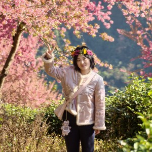 刘芸的个人空间