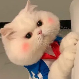 又喜欢鹿茸又喜欢丞周的个人空间