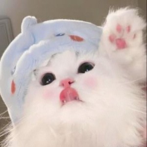 我就是爱偷吃的钢琴谱