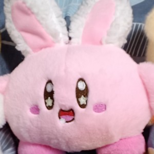 欢乐颂的演奏视频