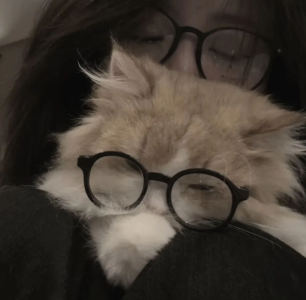 嗯嗯嗯嗯额的个人空间