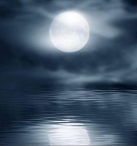 月光的个人空间