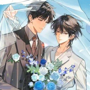 Soft亲爹的个人空间