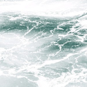 鱼一条的钢琴谱