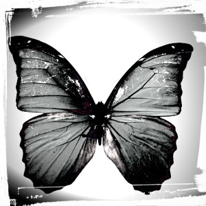 『芸棠.轻漪』堕落蝴蝶的钢琴谱