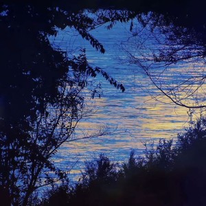 暮蓝枝澜的钢琴谱