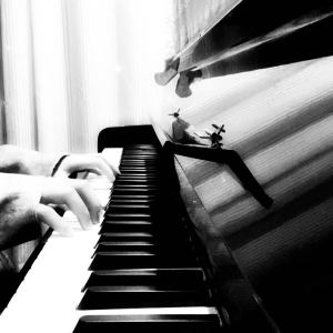 Like The Wind的演奏视频