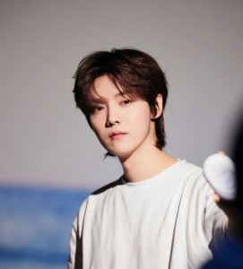 鹿鸣呦呦🦌的钢琴谱