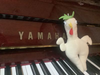 A person的个人空间