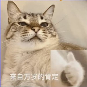 ^炸炸鱼🐟&的个人空间