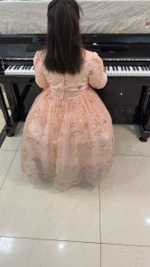 Croatian Rhapsody的演奏视频