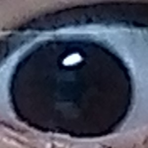 138****0712的钢琴谱