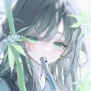 的演奏视频