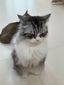 cn蔓越莓的个人空间