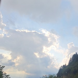 187****3834的钢琴谱