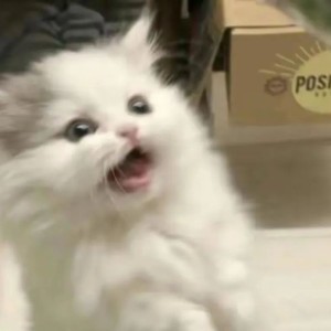 [极道]夏司逆づへど的钢琴谱