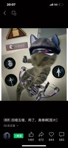 我的浮木四呢的个人空间