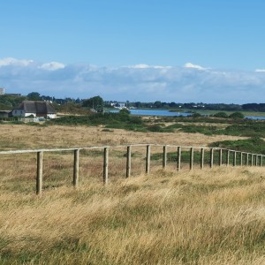 自云萧的钢琴谱