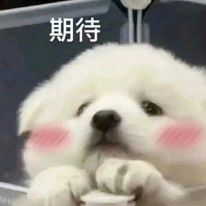 【霜冻】爱潾的个人空间