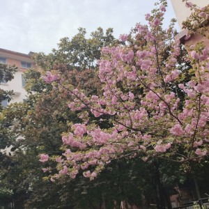 失眠的演奏视频