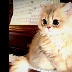 星空物语的个人空间