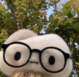 蚊子魚的个人空间