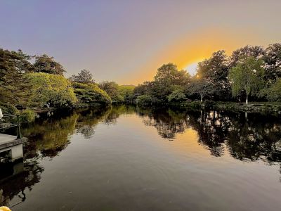 大鱼的演奏视频