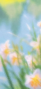 想喝奶茶的猫的钢琴谱