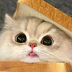 139****9066的个人空间