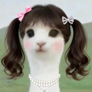 巴赫gun吧😡的钢琴谱