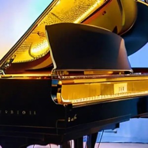 成为中手的钢琴谱