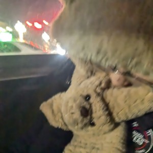 冷漠小仙女的钢琴谱