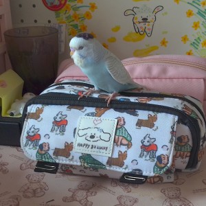 时间……|˄·͈༝·͈˄₎.｡的钢琴谱