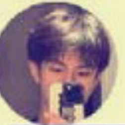 紫荆花盛开的演奏视频