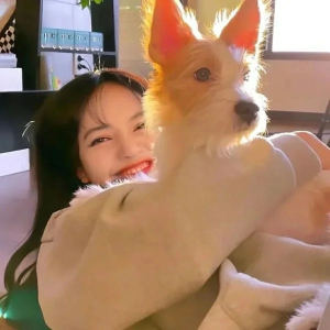 184****5108的钢琴谱