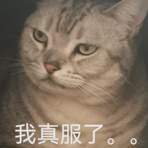 如沐春风?的个人空间