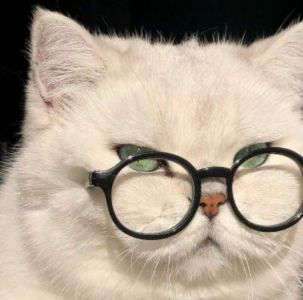 LZY柠儿🍋:)的个人空间