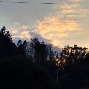 【冬青文社】forever的钢琴谱