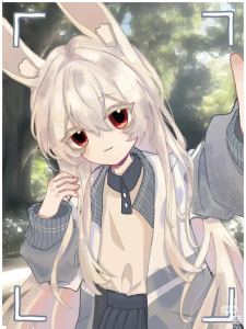 ch港兔露娜的钢琴谱