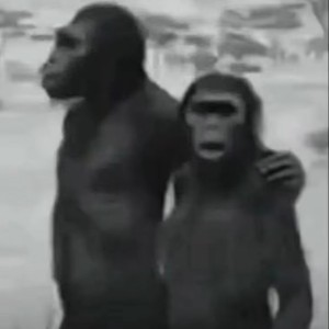 VeloDusk的个人空间