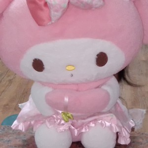 可可托海的牧羊人的演奏视频