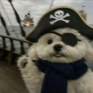 小狗水手的钢琴谱